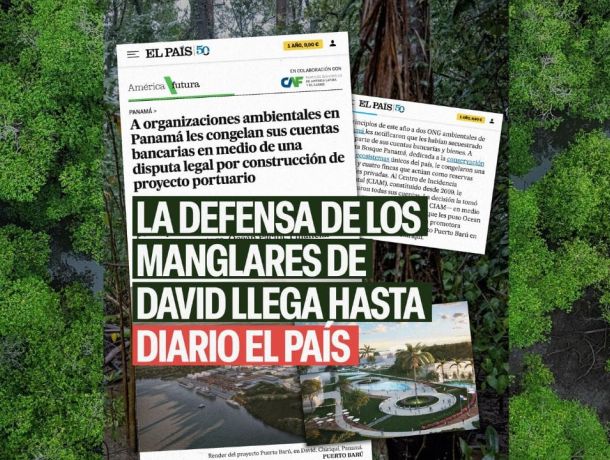 La Defensa de los Manglares de David llega al Diario El País image