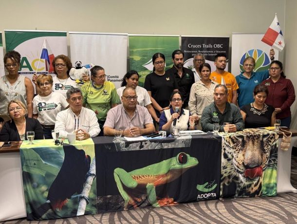 Organizaciones ambientales alertan en Panamá: querellas evidencian una estrategia de silenciamiento contra los defensores. image