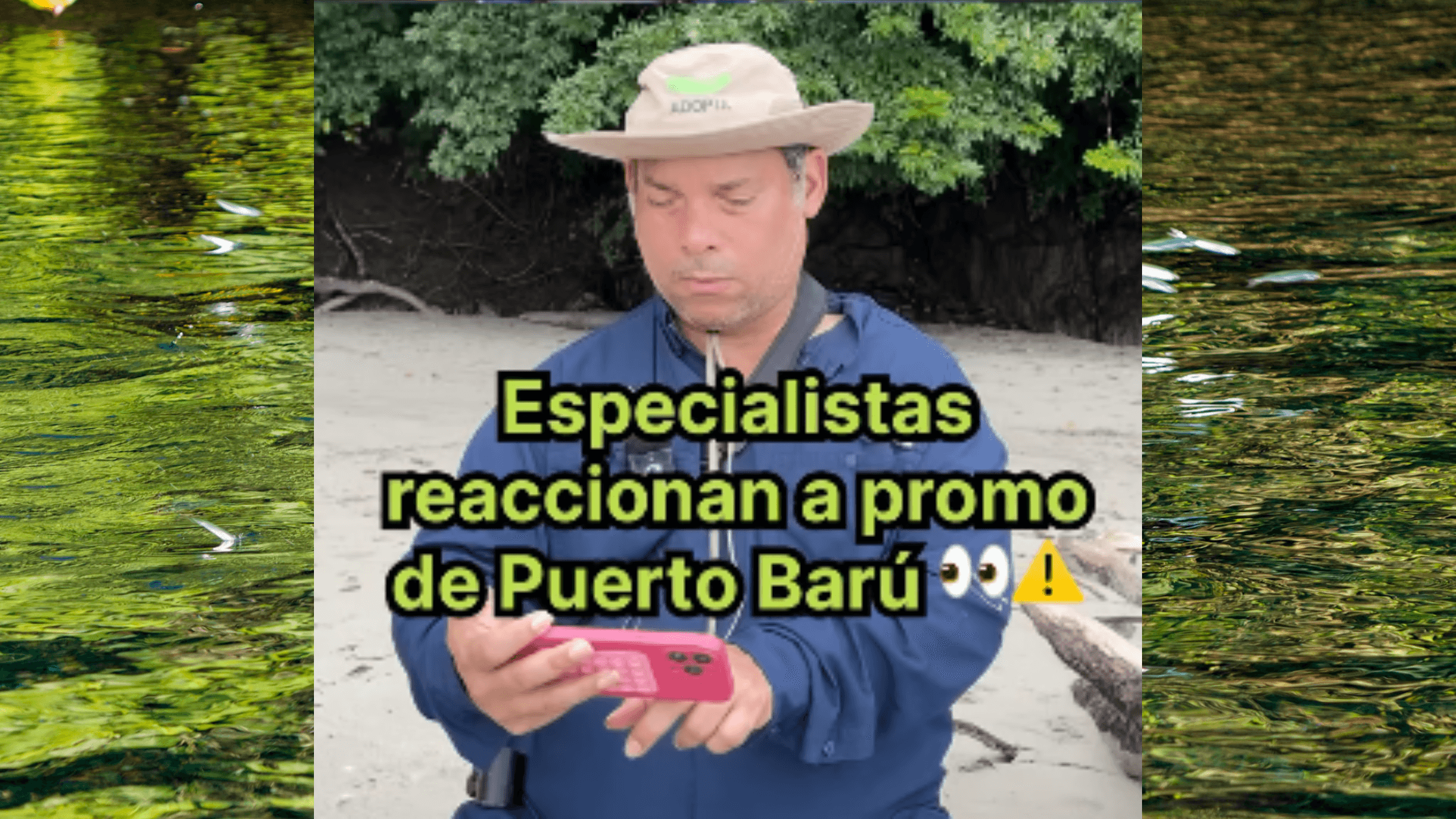 Más que palabras: especialistas reaccionan al Proyecto Puerto Barú image