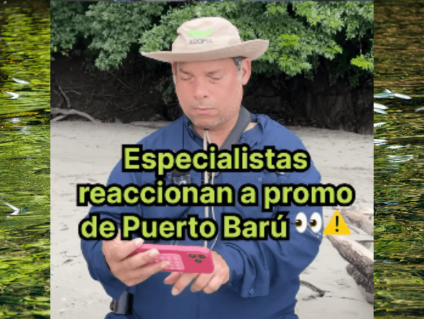 Más que palabras: especialistas reaccionan al Proyecto Puerto Barú image