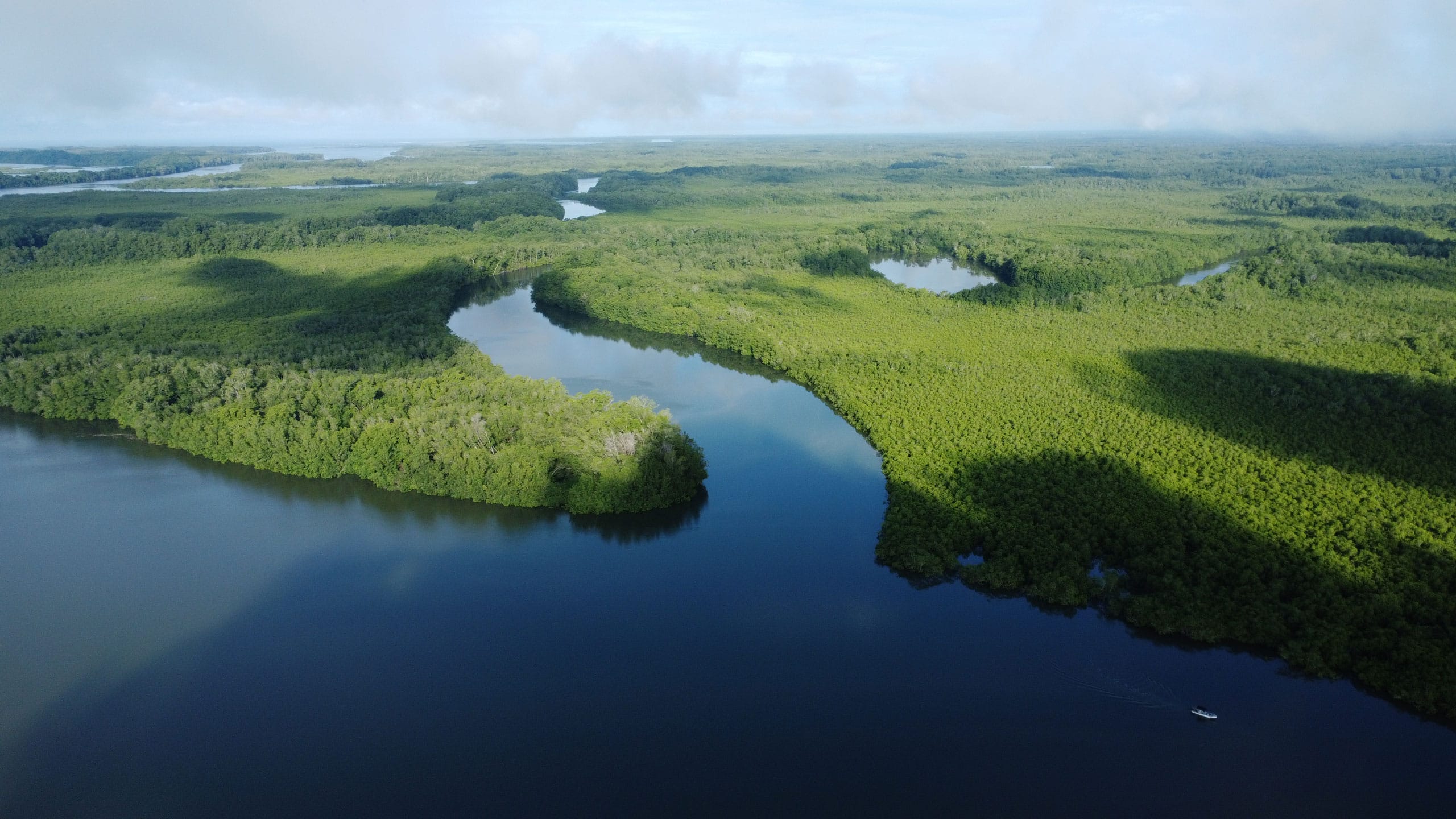 Supreme Court of Justice finds sufficient elements to admit the Nullity Action against the approval of the Environmental Impact Study of the Puerto Baru project in David image