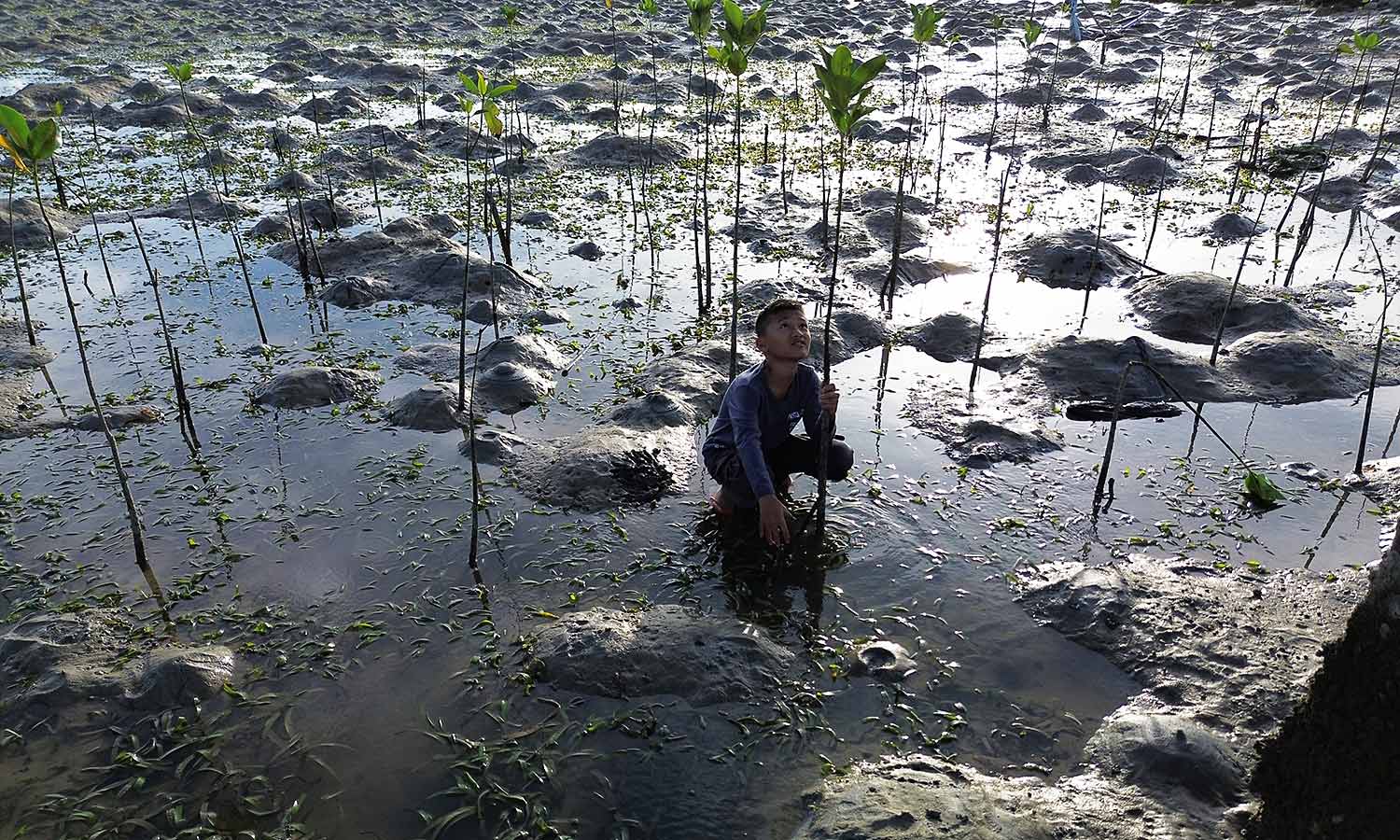 Defensa ambiental bajo ataque: la realidad de los defensores en Panamá y América Latina image
