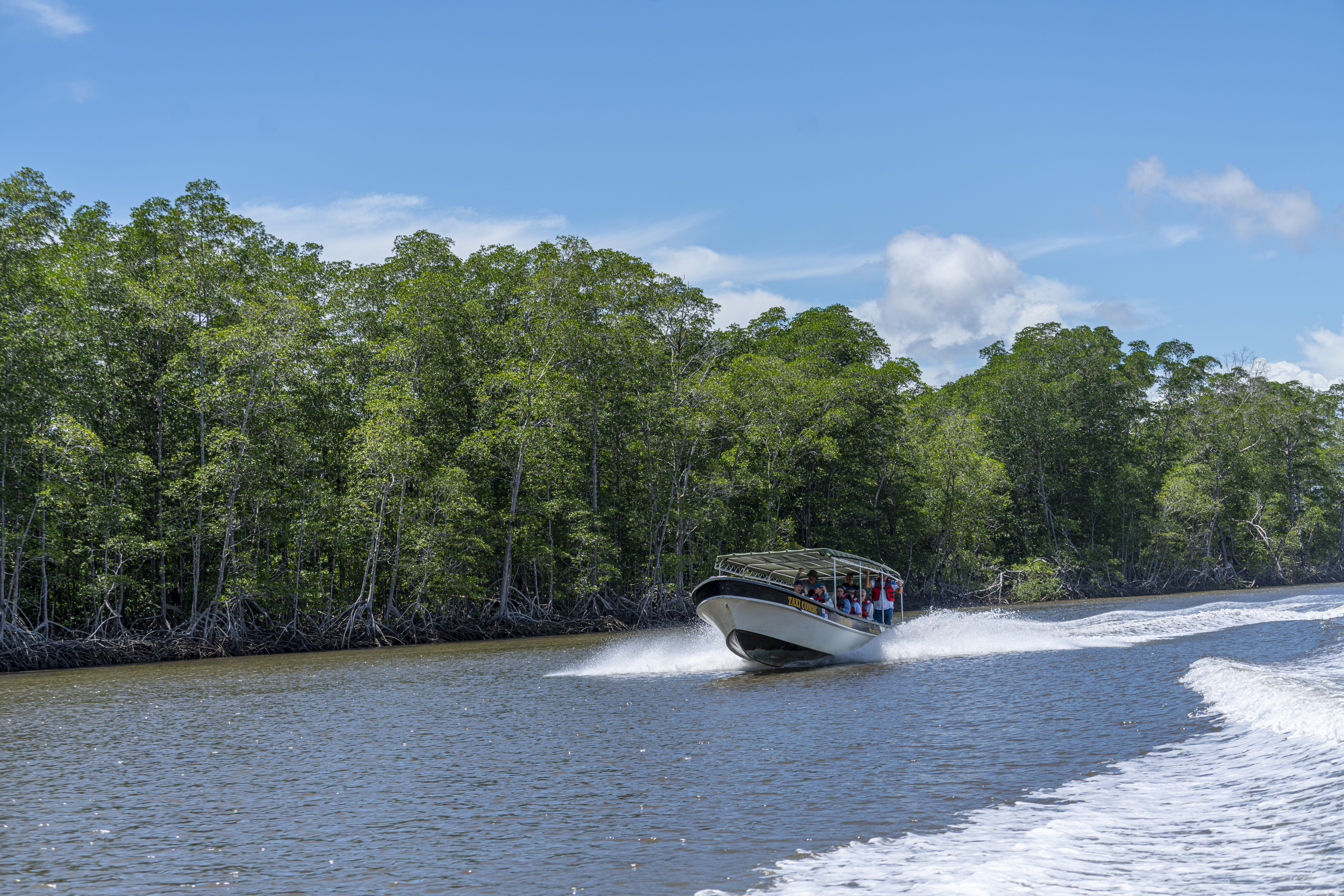 El costo oculto del dragado image