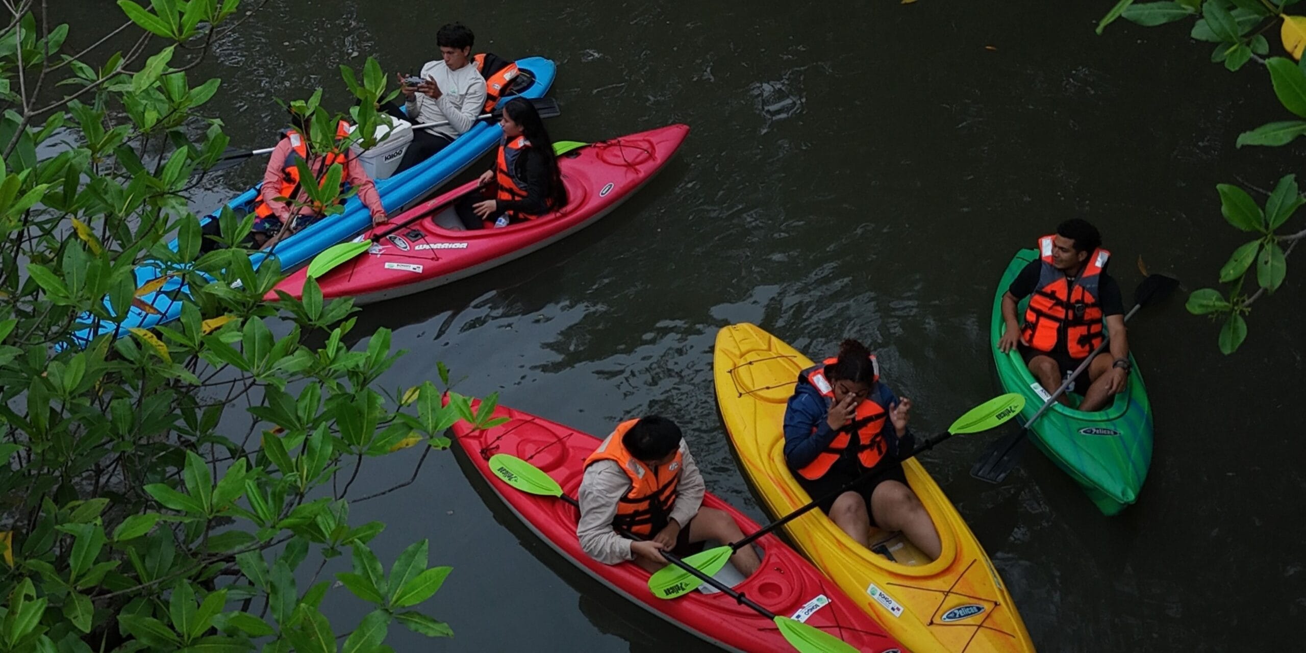 Cuando el territorio habla: estudiantes, manglares y el futuro que se defiende image