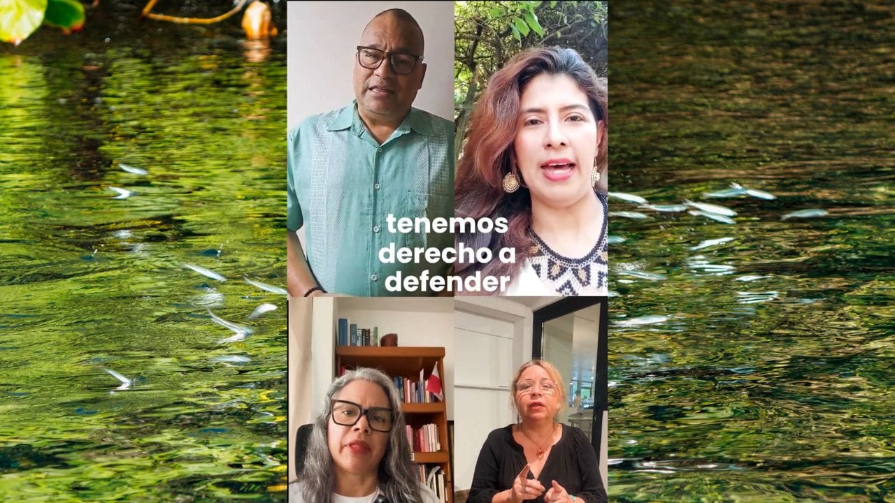 Defender el ambiente bajo amenaza judicial image