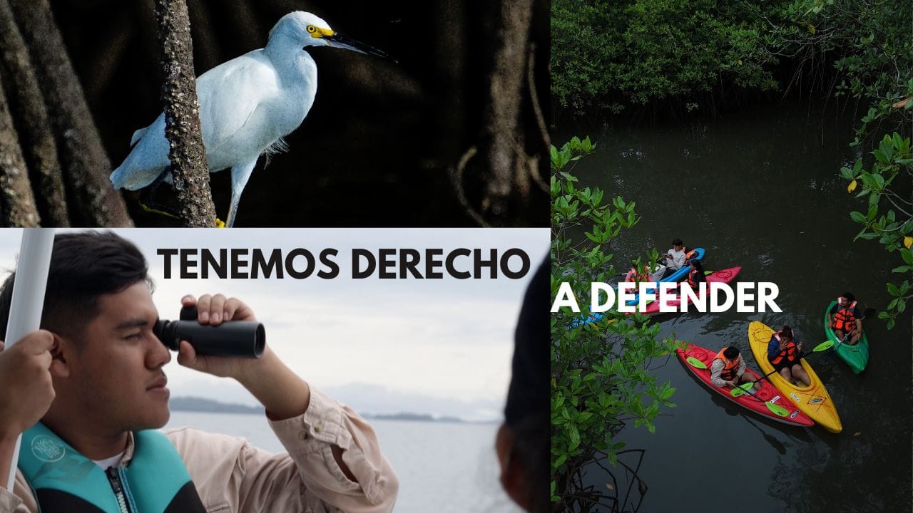 Defender el ambiente bajo amenaza judicial image