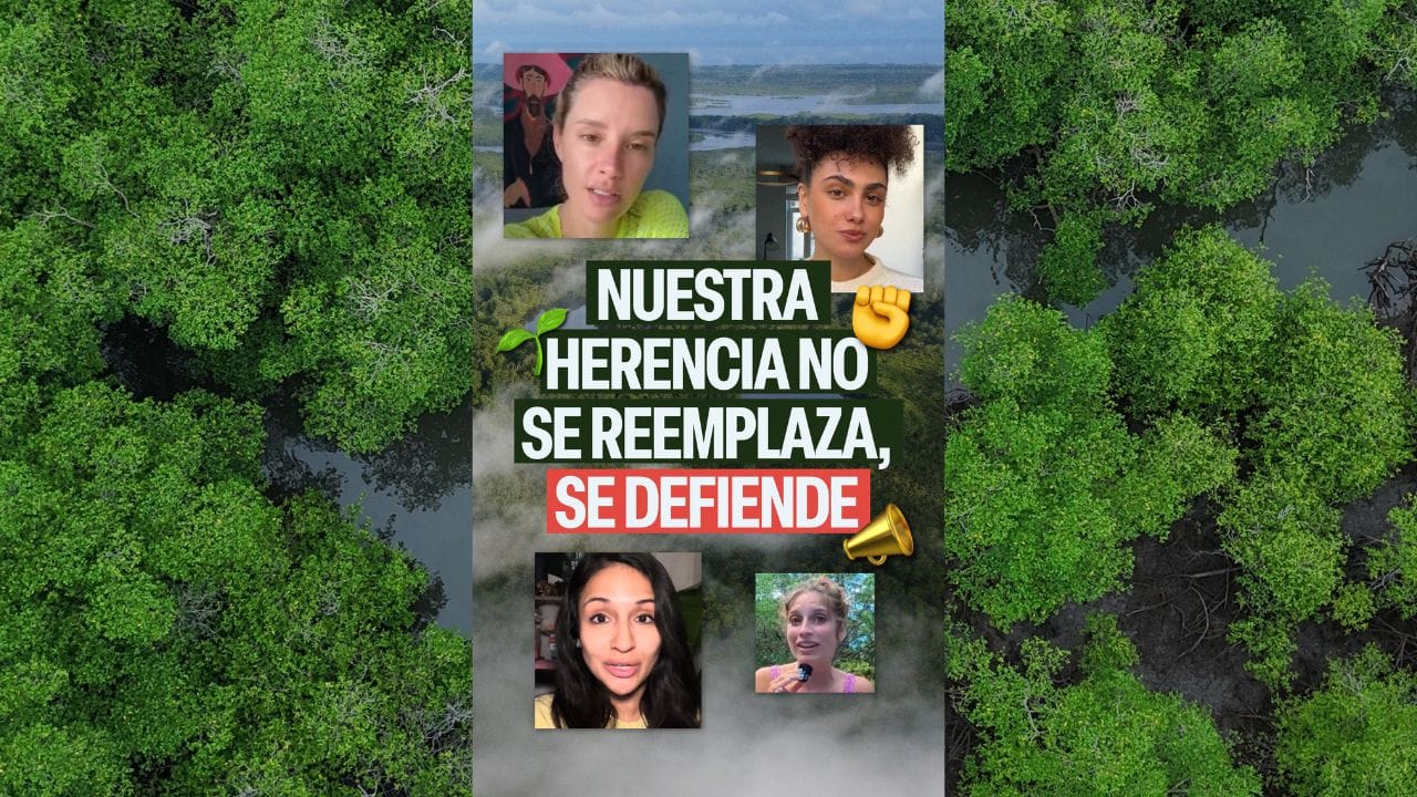 Voces internacionales alzan la voz por Coiba y los manglares de Panamá image