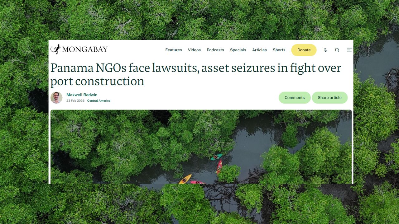 La criminalización de organizaciones ambientales en Panamá llega a la prensa internacional image