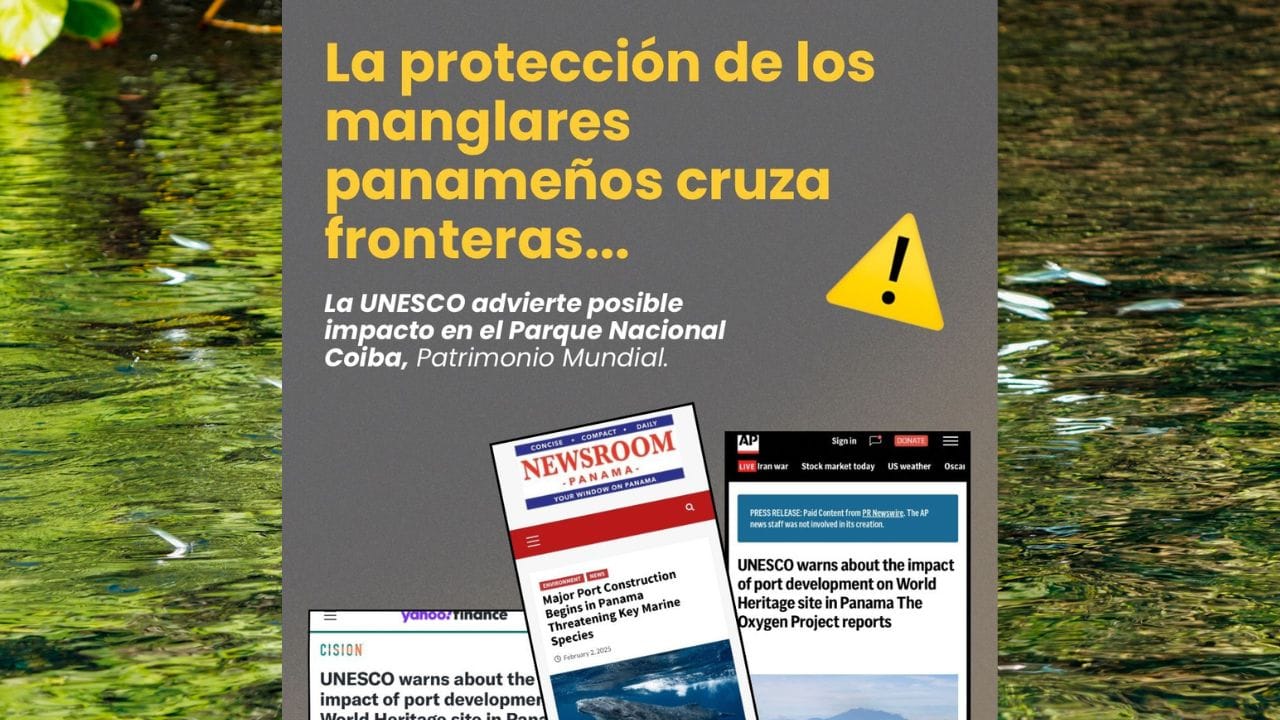 UNESCO pide a Panamá revisar el proyecto portuario de Puerto Barú por posibles impactos en el Parque Nacional Coiba image