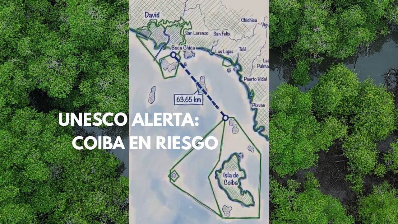 Cuando el impacto no se queda en un lugar: UNESCO alerta sobre Puerto Barú image
