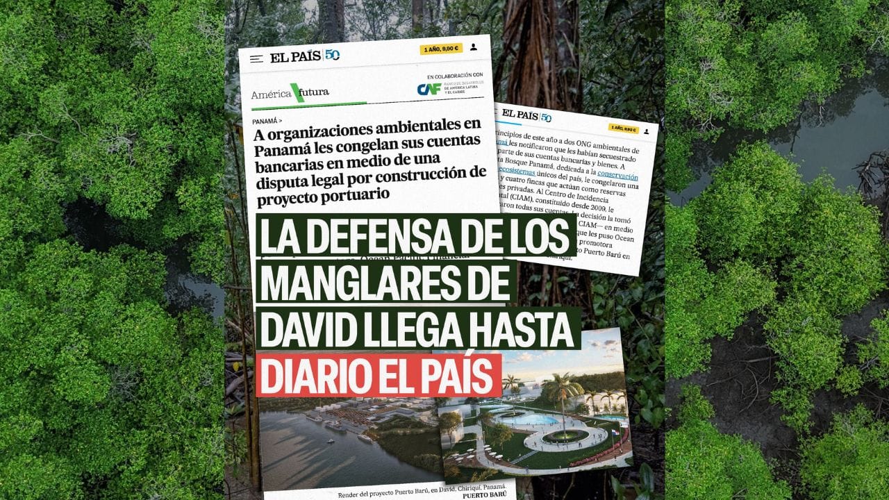 La Defensa de los Manglares de David llega al Diario El País image