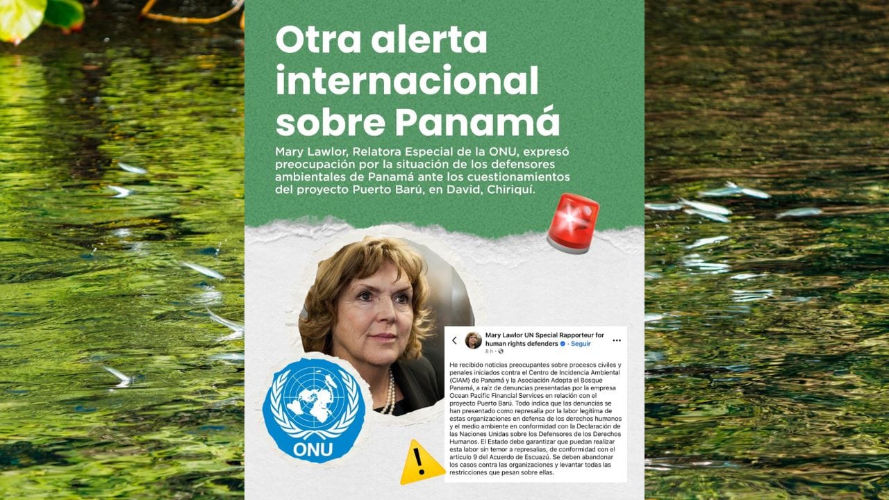 Las voces que cambiaron la conversación image