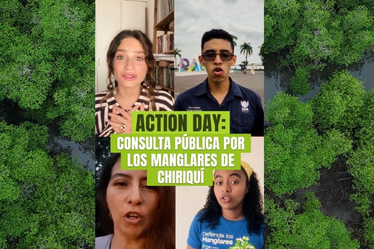 Consulta Pública abierta por los Manglares de Chiriquí image