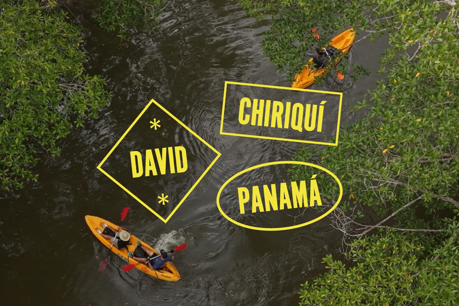 Todos hablan de los Manglares de David en Panamá image