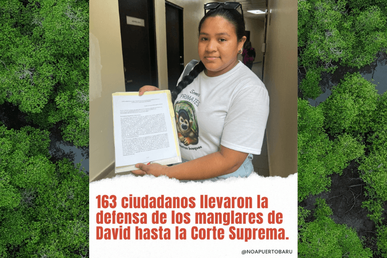 Por los Manglares de David, la ciudadanía acude a la Corte image