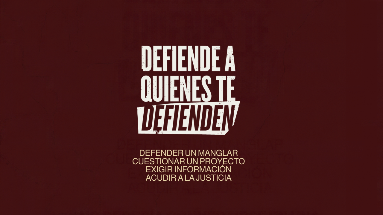 SLAPP en Panamá: cuando defender la naturaleza termina en tribunales image