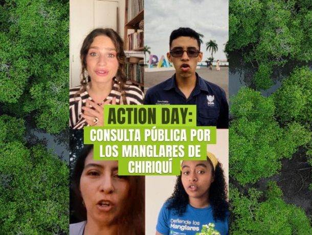 Consulta Pública abierta por los Manglares de Chiriquí image