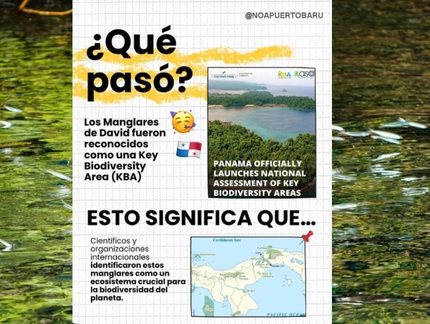 Manglares de David en Chiriquí reciben reconocimiento internacional como Key Biodiversity Area (KBA) image