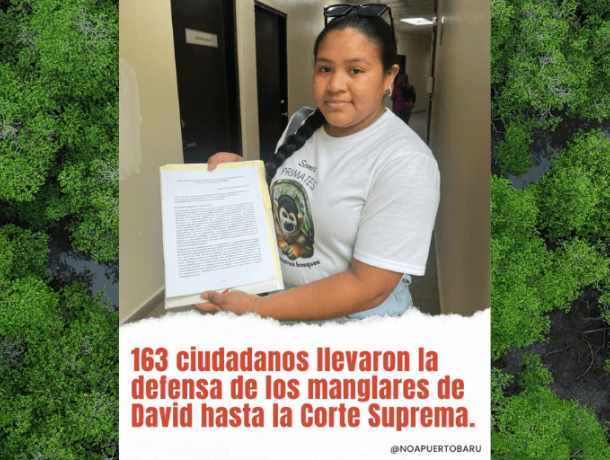 Por los Manglares de David, la ciudadanía acude a la Corte image