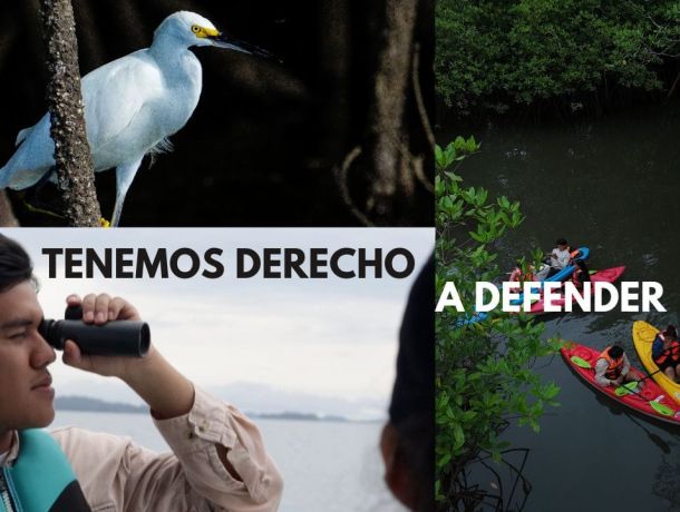 Defender el ambiente bajo amenaza judicial image