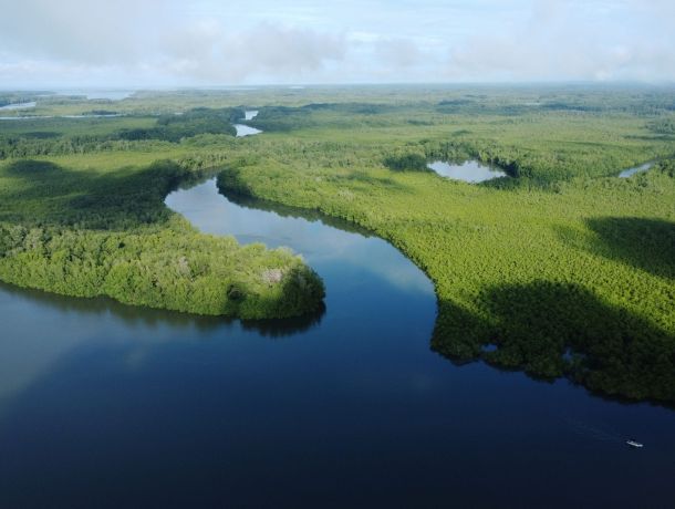 Supreme Court of Justice finds sufficient elements to admit the Nullity Action against the approval of the Environmental Impact Study of the Puerto Baru project in David image