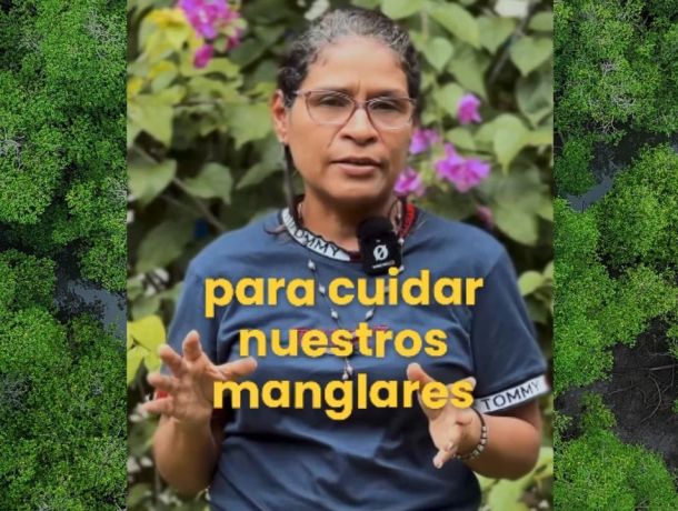 Yo soy cuidadora del manglar: Profesora Olga de Samaniego image