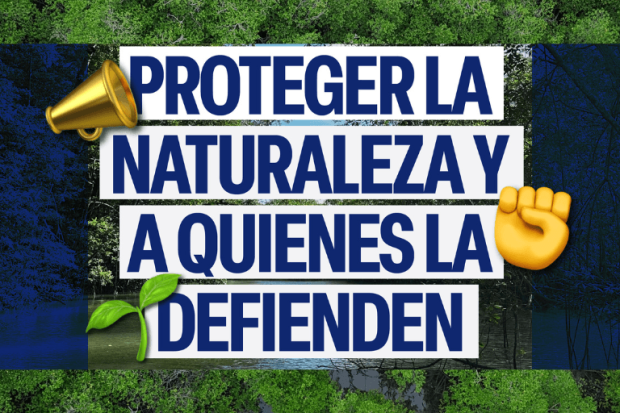 Leyenda: El 25% de todos los manglares existentes de Panamá están en Chiriquí. Foto: cortesía Beny Wilson Altamiranda.