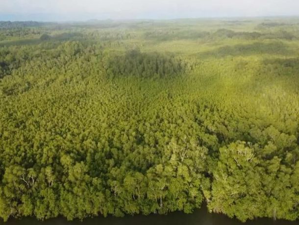 Puerto Baru: We answer Minister Navarro's questions about Puerto Baru. image