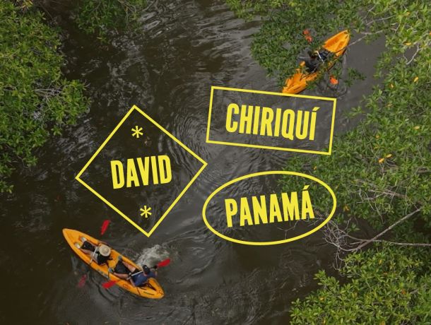 Todos hablan de los Manglares de David en Panamá image