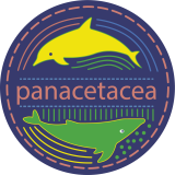 Panacetacea