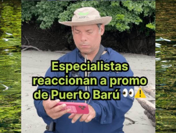Más que palabras: especialistas reaccionan al Proyecto Puerto Barú image