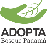 adopta sin fondo