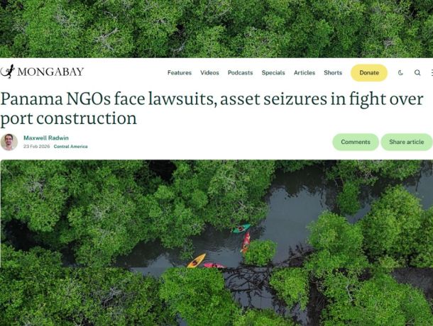 La criminalización de organizaciones ambientales en Panamá llega a la prensa internacional image
