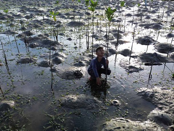 Defensa ambiental bajo ataque: la realidad de los defensores en Panamá y América Latina image